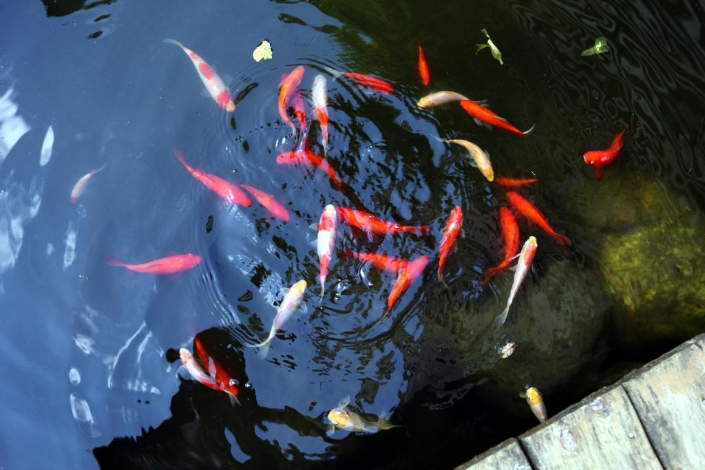 Guest House Of Permaculture Jiaxin 외부 사진